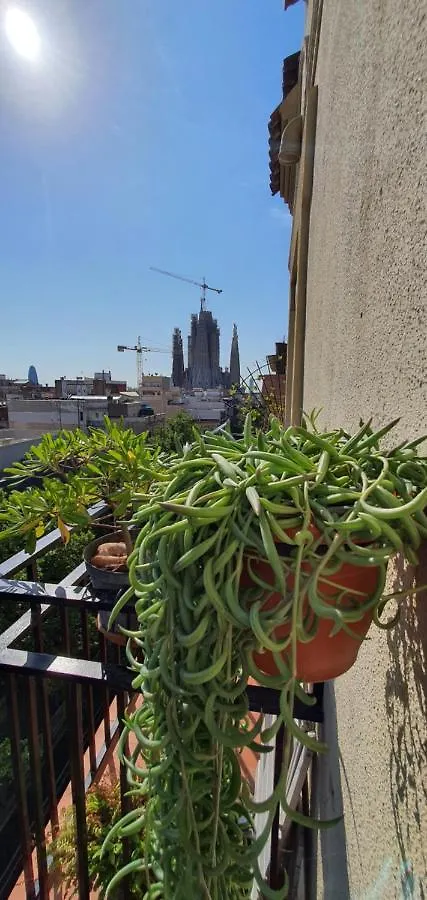 Lovely Appart & Sky View Sagrada Familia Barcelona Apartment